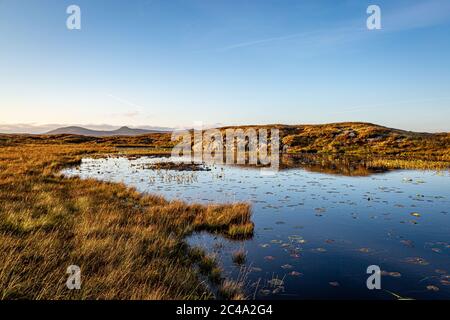 Blick über ein loch auf der Hebriden-Insel North Uist, mit Abendlicht Stockfoto