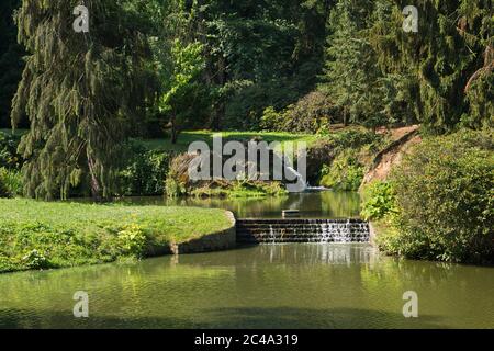 Natur im Park in Pruhonice in der Nähe von Prag in der Tschechischen Republik, Europa Stockfoto