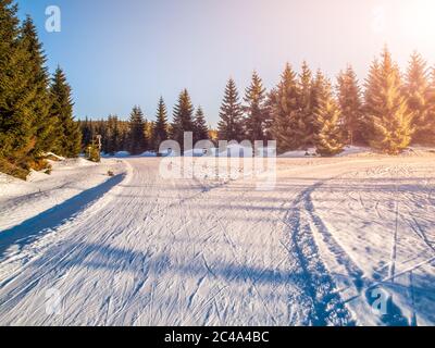 Kreuzung der Langlaufloipen in der Winterwaldlandschaft am sonnigen Tag, Isergebirge, Tschechische Republik. Stockfoto