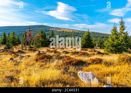 Grüne Waldlandschaft mit Velky Sisak und Vysoke Kolo, Riesengebirge, Riesengebirge, Tschechische Republik. Stockfoto