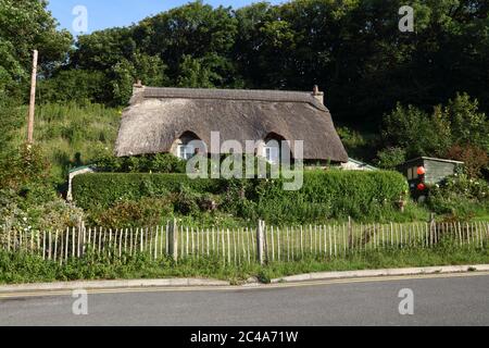 Ein kleines ländliches Reethaus, das abseits von allem in einer sehr ruhigen Lage mit ordentlich getrimmtem Stroh und Hecken liegt. Stockfoto