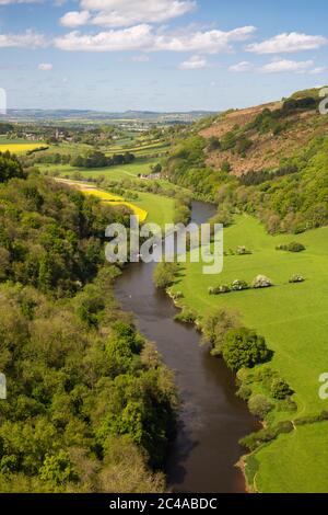 Blick über Wye Valley von Symonds Yat Rock, Symonds Yat, Forest of Dean, Herefordshire, England, Vereinigtes Königreich, Europa Stockfoto