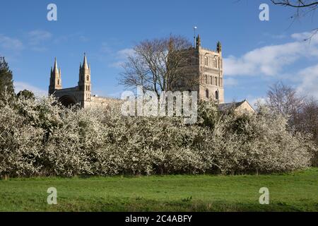 Abbey Church of St Mary the Virgin (Tewkesbury Abbey), Tewkesbury, Gloucestershire, England, Vereinigtes Königreich, Europa Stockfoto