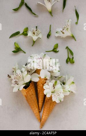 Topview Bild von drei Eiscremeskonen mit weißen Blüten in ihr, über hellgrauer Tischplatte. Stockfoto