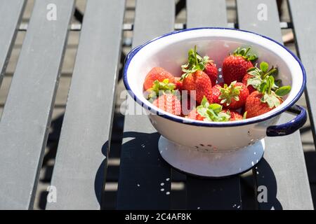 Schale mit frischen Erdbeeren in einer weißen Schüssel oder Sieb auf einem schwarzen Holztisch im Freien Stockfoto