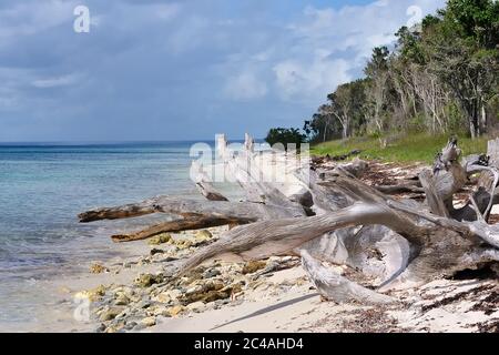 Der Blick auf den wunderschönen tropischen, wilden Strand im East National Park, in der Nähe von Bayahibé, Dominikanische Republik Stockfoto