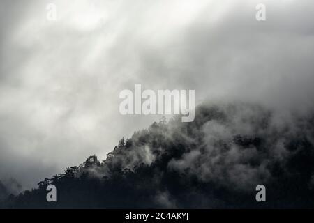 Dunkle Landschaft des Geheimnisses mit Nebel, Nebel und Wolken im Ökosystem Cloud Forest mit Kopierraum. Stockfoto