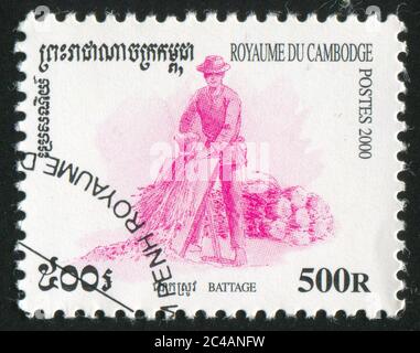 KAMBODSCHA - UM 2000: Briefmarke gedruckt von Kambodscha, zeigt wachsenden Reis, um 2000 Stockfoto