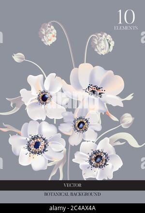 Hochzeit Anemone weißen Blumen zarte weiche Blüte Grußkarte auf blauem Hintergrund. Moderne Aquarell Illustration Tender 3d in Vektor. Stock Vektor