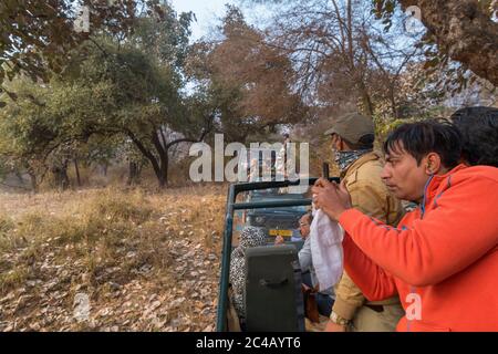 Tourist fotografieren von einem Canter Safari Fahrzeug auf einem Tiger Safari in Ranthambore National Park, Rajasthan, Indien Stockfoto