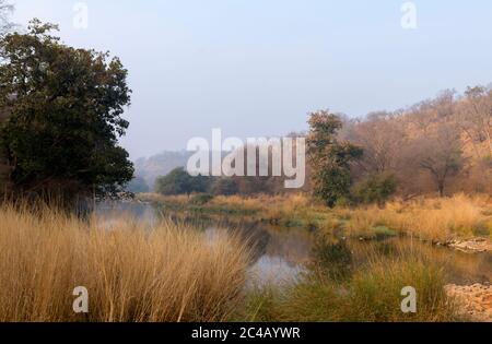 See in den frühen Morgenstunden, Ranthambore National Park, Rajasthan, Indien Stockfoto