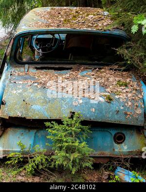 KIRKOE MOSSE, SCHWEDEN - 30. MAI 2020: Ein Autofriedhof in einem Wald bei Kirkoe Mosse, Schweden. Stockfoto