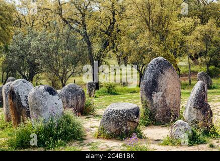 In der Nähe von Evora, Bezirk Evora, Alentejo, Portugal. Megalithanlage von Cromeleque dos Almendres. Eine Gruppe von 95 Granitmonolithen. Stockfoto