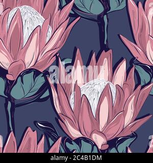 Protea Nahtloses Musterdesign. Handgezeichnete große Blumenzeichnung. Botanische Zeichnung, Blumen und Blätter Laub Hintergrund Stock Vektor