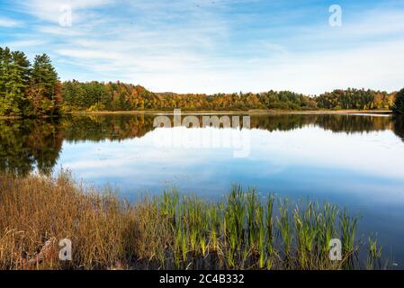 Ruhige Landschaft mit einem See umgeben von Wald an einem klaren Herbsttag. Schöne Herbstfarben und Reflexion im Wasser.