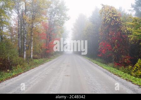 Menschenleere unbepoavte Straße durch bunte Bäume in der Landschaft an einem nebligen Herbstmorgen Stockfoto