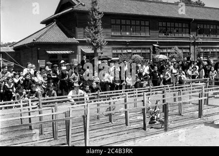 Japanische Ente Rennen in der Schule in 1950s Japan Stockfoto