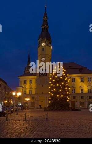 Rathaus mit geschmücktem Weihnachtsbaum am Abend auf dem Hauptmarkt, Bautzen, Oberlausitz, Sachsen, Deutschland Stockfoto