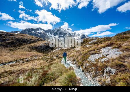 Wanderer auf dem Routeburn Track, Mount Aspiring National Park, Westland District, Westküste, South Island Stockfoto