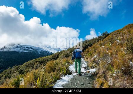 Wanderer auf dem Weg zum Key Summit, Routeburn Track, Fiordland National Park, Te Anau, Southland, South Island, Neuseeland Stockfoto