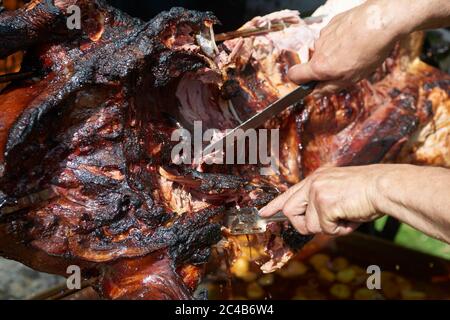 Chef Hände Schneiden ganze gegrillte Schweinefleisch für Steaks mit Messer. Vom Schwein gegrillte traditionelle Kohle und Feuer. Das kleine Schwein wird ganz auf einem offenen Feuer geröstet. Stockfoto