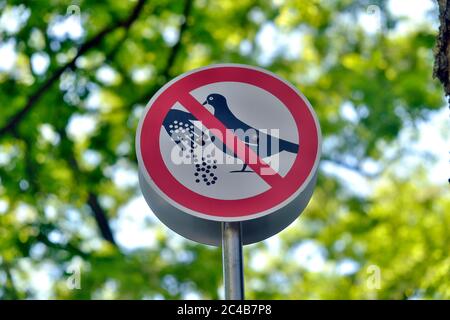 Verbotsschild, Taubenfütterung verboten, Viktualienmarkt, München, Bayern, Deutschland Stockfoto