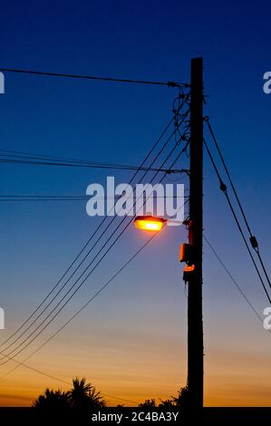 Telefonleitungen bei Sonnenuntergang in Wedmore, Somerset Stockfoto