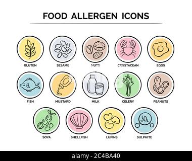 Handgezeichnete Symbole für die Lebensmittelsicherheit für Allergien. 14 Lebensmittelzutaten, die in der EU als Allergene deklariert werden müssen. Vektor EPS 10. Nützlich für Restaurants und Stock Vektor