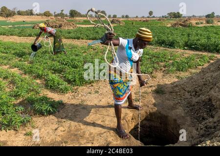 Mikrofinanzkundenmarkt Landwirtschaft in der Provinz Savanes, Nord-togo Stockfoto