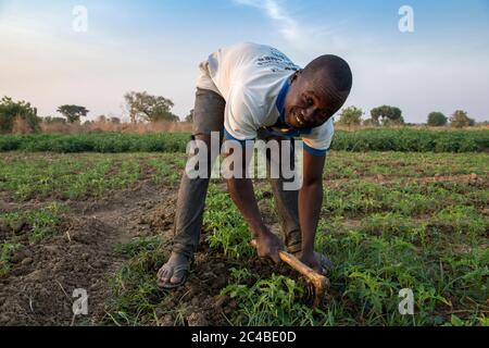 Mikrofinanzkundenmarkt Landwirtschaft in der Provinz Savanes, Nord-togo Stockfoto