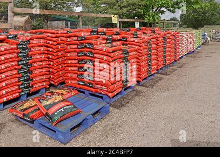 Beutel mit 60 Liter Mehrzweck-Gartenkompost in rot Plastiktüte auf blauer Holzpalette zum Verkauf & Kauf Self Service Garden Center Essex England Großbritannien Stockfoto