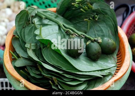 Betelblätter und Areca-Mutter zum Verkauf auf dem Markt Stockfoto