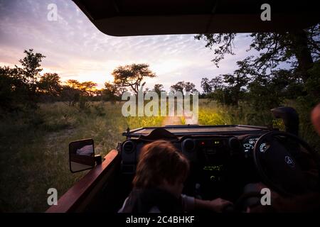 Motion Blur, ein Safari-Fahrzeug, das auf einer Feldbahn fährt und nach Sonnenuntergang Scheinwerfer angeschaltet sind. Stockfoto