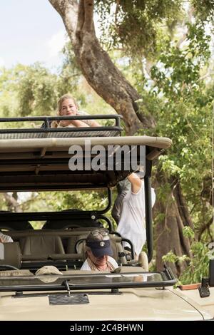 Drei Personen, eine Frau im Jeep und zwei Kinder, die unter Bäumen auf die Aussichtsplattform klettern. Stockfoto