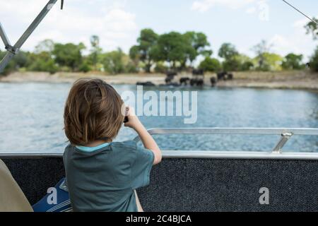Rückansicht des 5-jährigen Jungen, der am Ufer des Zambezi River Elefanten fotografiert Stockfoto