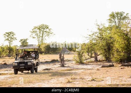Ein Jeep mit Passagieren, die ein Paar Löwen beobachten, die in einem Wildreservat ruhen Stockfoto
