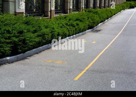 Asphaltstraße mit gelben Markierungen für Fahrräder im Zaun des Zauns mit grünen Thujas an einem sonnigen Sommertag, niemand. Stockfoto