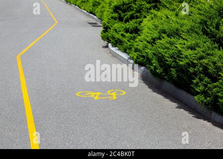 Eine asphaltierte Straße mit einem Radweg, der entlang der Bordsteinkante mit immergrünen Thuja-Büschen an einem sonnigen Sommertag im Park markiert. Stockfoto