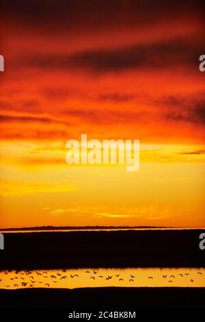 Sonnenuntergang über dem Berg River, Laaiplek Stockfoto