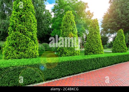 Park Landschaftsgestaltung mit Fußwegen aus roten Fliesen und immergrünen Hecke von Busch Thuja und Sonne Flare in den Himmel. Stockfoto