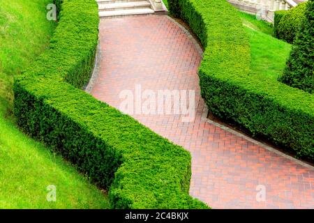 Gebogener Fußweg aus roten Steinfliesen für Spaziergänge im Garten mit einer Hecke von immergrünen getrimmten Büschen, am Sommertag niemand. Stockfoto