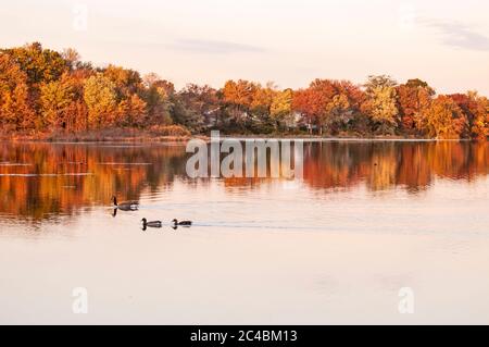 Felder und Wasser tragen zur Schönheit des Bildes bei. Stockfoto