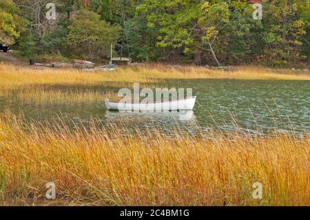 Felder und Wasser tragen zur Schönheit des Bildes bei. Stockfoto