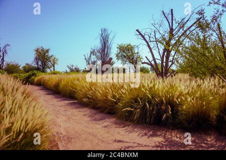 Love Lake, Al Qudra Vereinigte Arabische Emirate Desktop Stockfoto