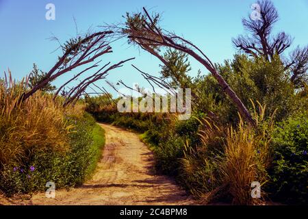 Love Lake, Al Qudra Vereinigte Arabische Emirate Desktop Stockfoto