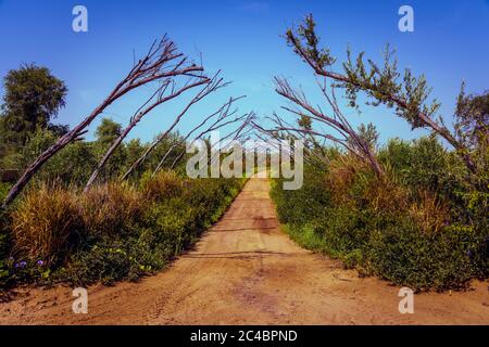 Love Lake, Al Qudra Vereinigte Arabische Emirate Desktop Stockfoto