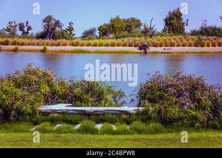 Love Lake, Al Qudra Vereinigte Arabische Emirate Desktop Stockfoto