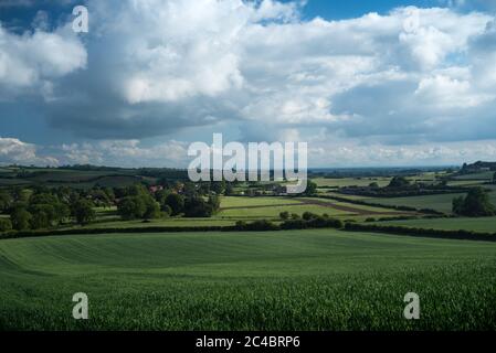 Blick auf die englische Landschaft im Sommer Stockfoto