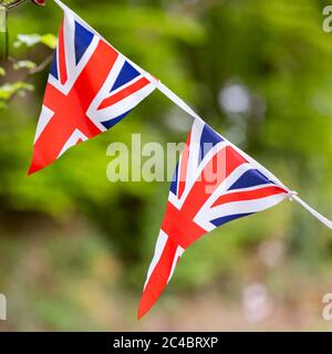 Union Jack Wimpel, der an einem Baum hängt Stockfoto
