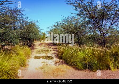 Love Lake, Al Qudra Vereinigte Arabische Emirate Desktop Stockfoto